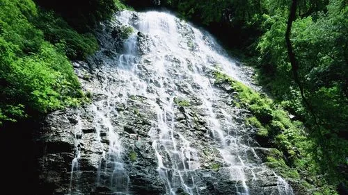 高标准高性能科技